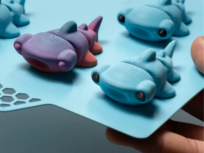 Mini Hammer Shark