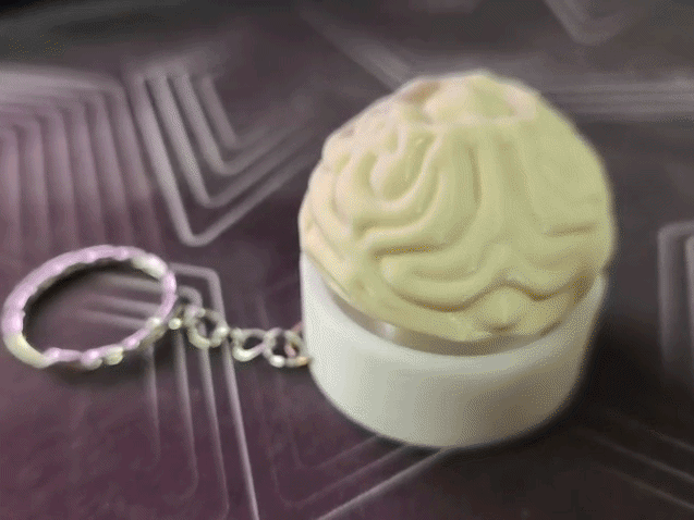 Brain Clicker Fidget Toy