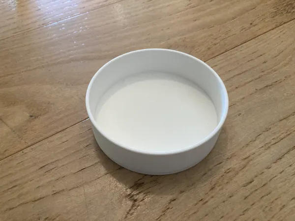 Gamelle pour animaux