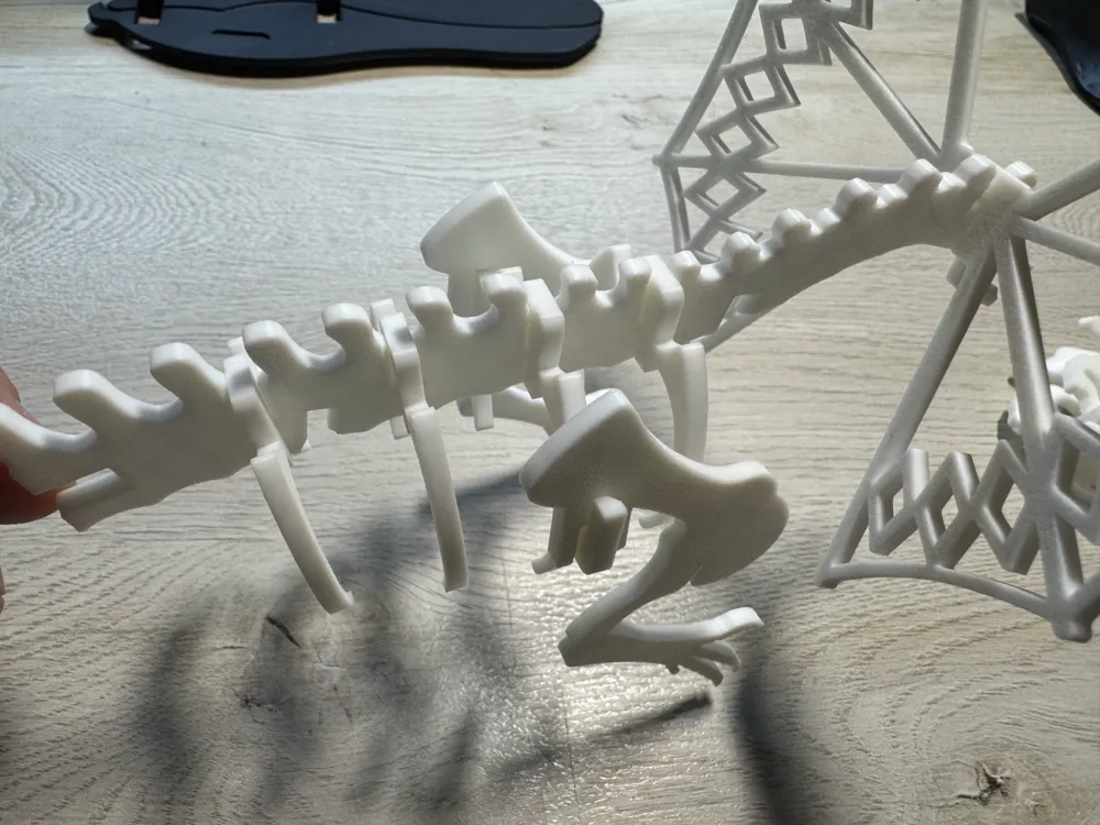 Dilophosaurus Dinosaur Skeleton Puzzle Remixed by Hef413 MakerWorld ...