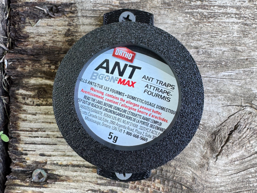 Ortho Ant BGon Max secure bracket