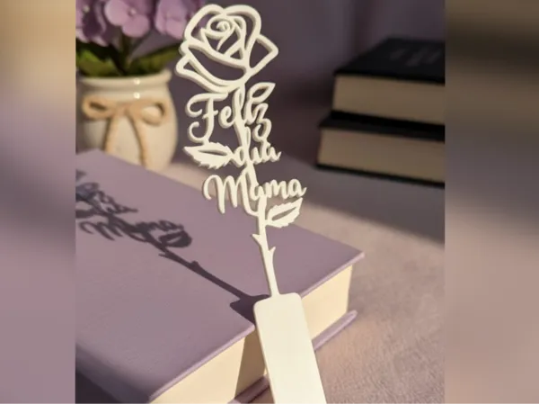 https://makerworld.bblmw.com/makerworld/model/USb6837d62ba92a2/design/2025-10-11_910549dccb52d8.png