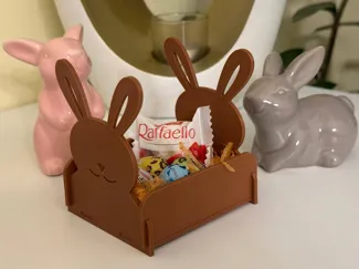 Snap Bunny Box