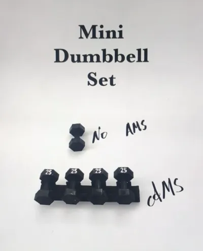 Mini Dumbbell Set