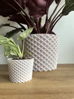 Freya 5-21cm Multi Plate