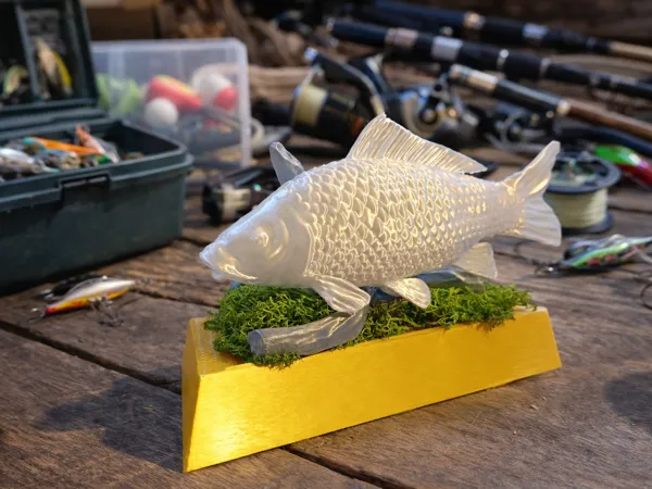 https://makerworld.bblmw.com/makerworld/model/USb6933febede70e/design/f1d66d09c11ea66f.png