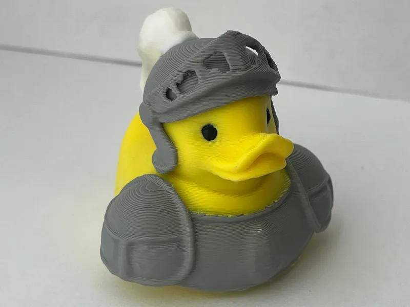 Knight Duck