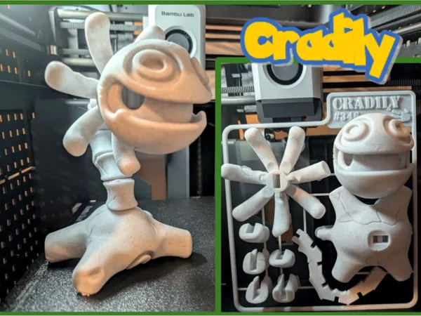 https://makerworld.bblmw.com/makerworld/model/USb69ebf86d9025f/design/2025-08-18_b2963d335177f.jpg