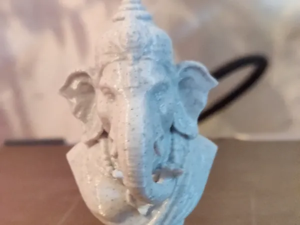 https://makerworld.bblmw.com/makerworld/model/USb69f79687a2506/design/2025-06-01_972b1e1e7259d.jpg