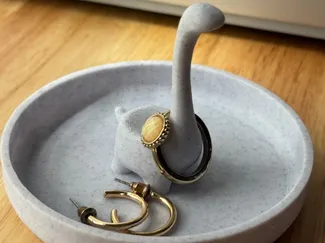 Cute Dinosaur Ringdish