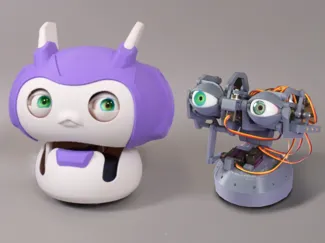 Person Tracking Eye Mechanism and Bot 