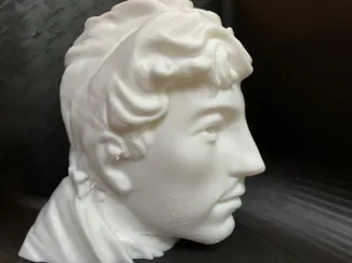 Josh Dun Bust