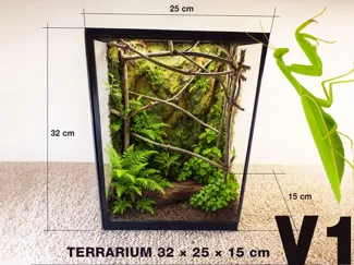 Terarrium 32 × 25  × 15 cm - Insectarium