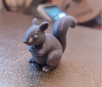 cute squirrel 