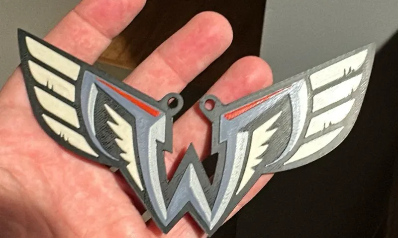 Philadelphia Wings Logo pendant and magnet