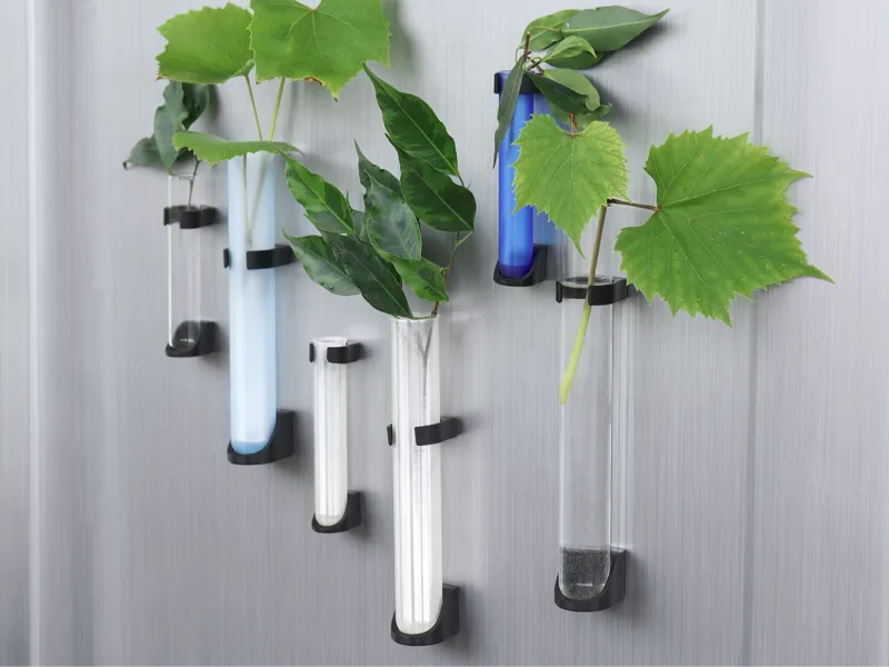 Translucent Test Tube Decor