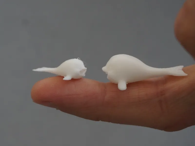 dolphin (from 9min, different sizes)