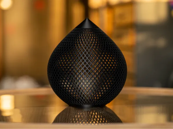 https://makerworld.bblmw.com/makerworld/model/USb6cdb10117f555/design/2025-11-14_ba028797ead0a8.jpg