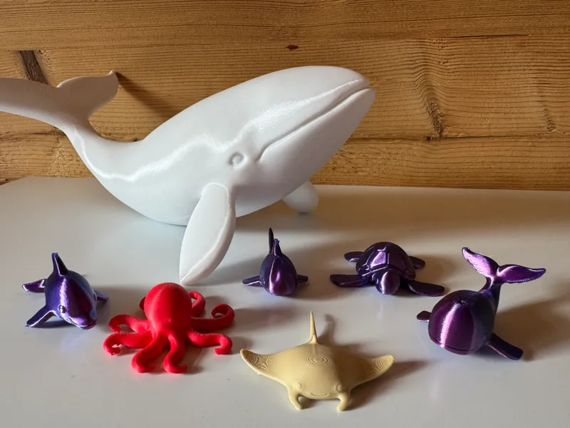 Cute marine animals collection