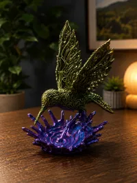 Colibri glacé — photo 2