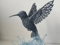 Colibri glacé — photo 1