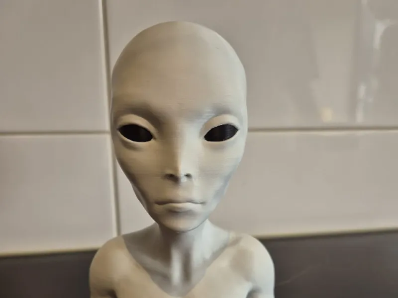 friendly grey alien