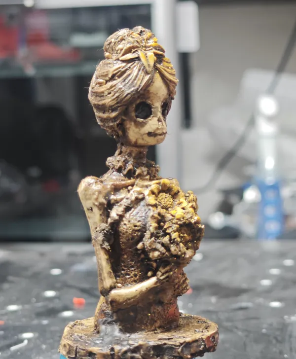 https://makerworld.bblmw.com/makerworld/model/USb6d4d11d725b9e/design/2024-11-19_be0d8125557c.jpg