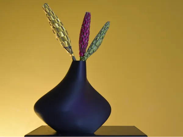 Vase design moderne