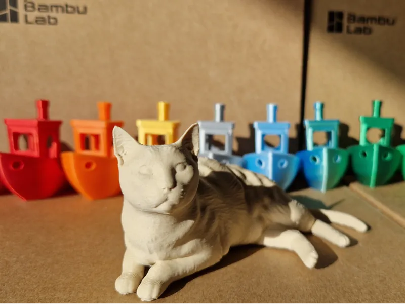 Desk Cat