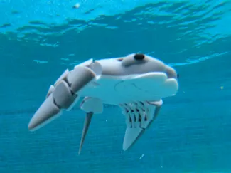 Flexi Cownose Ray