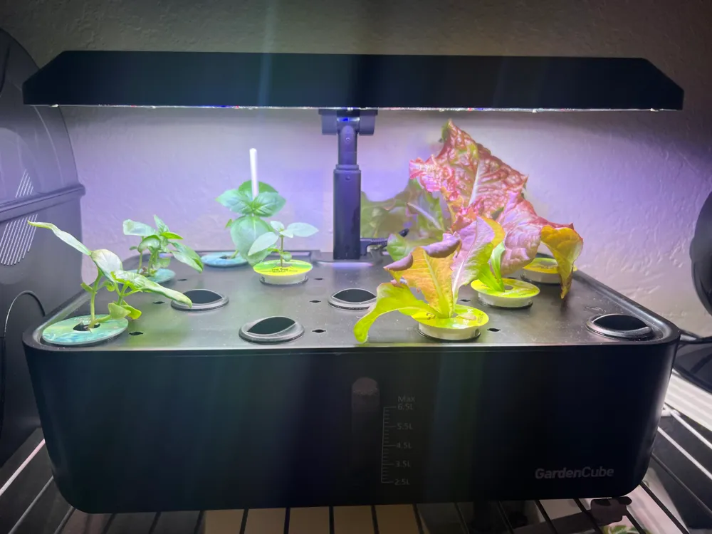 Shorter Plant Support Sticks Compatible with GardenCube