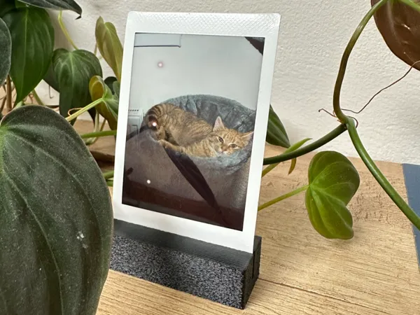 https://makerworld.bblmw.com/makerworld/model/USb6e48ea6ec053c/design/2025-01-05_c98d5bfdd3c72.jpeg