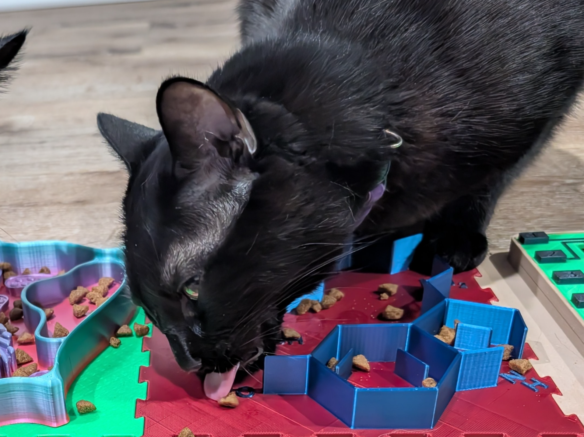 Curious Paws - Dopamine and Serotonin Slow Feeder