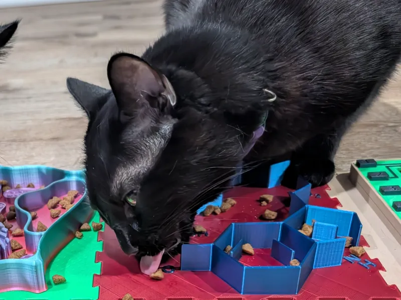 Curious Paws - Dopamine and Serotonin Slow Feeder