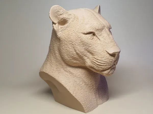 https://makerworld.bblmw.com/makerworld/model/USb6e8dce73f193d/design/2025-10-04_284e667aa04388.jpg