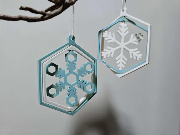 https://makerworld.bblmw.com/makerworld/model/USb6ea7c4bf1218d/design/2024-12-09_18f55d15a5668.png