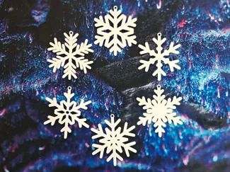 Snowflake Decorations