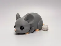 0.16mm layer, 2 walls, 15% infill