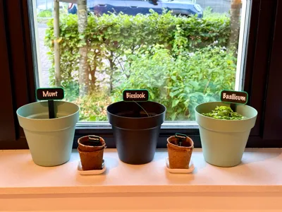 Herb Plant Markers — Multicolor Pot Labels
