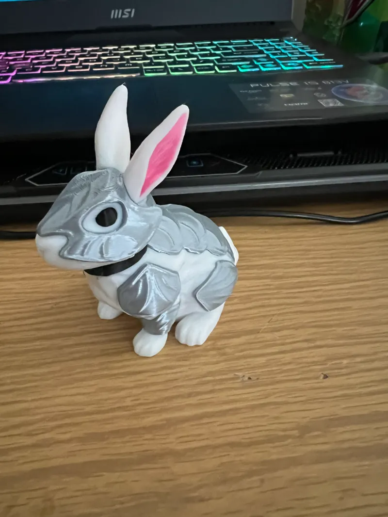 Battle Bunny