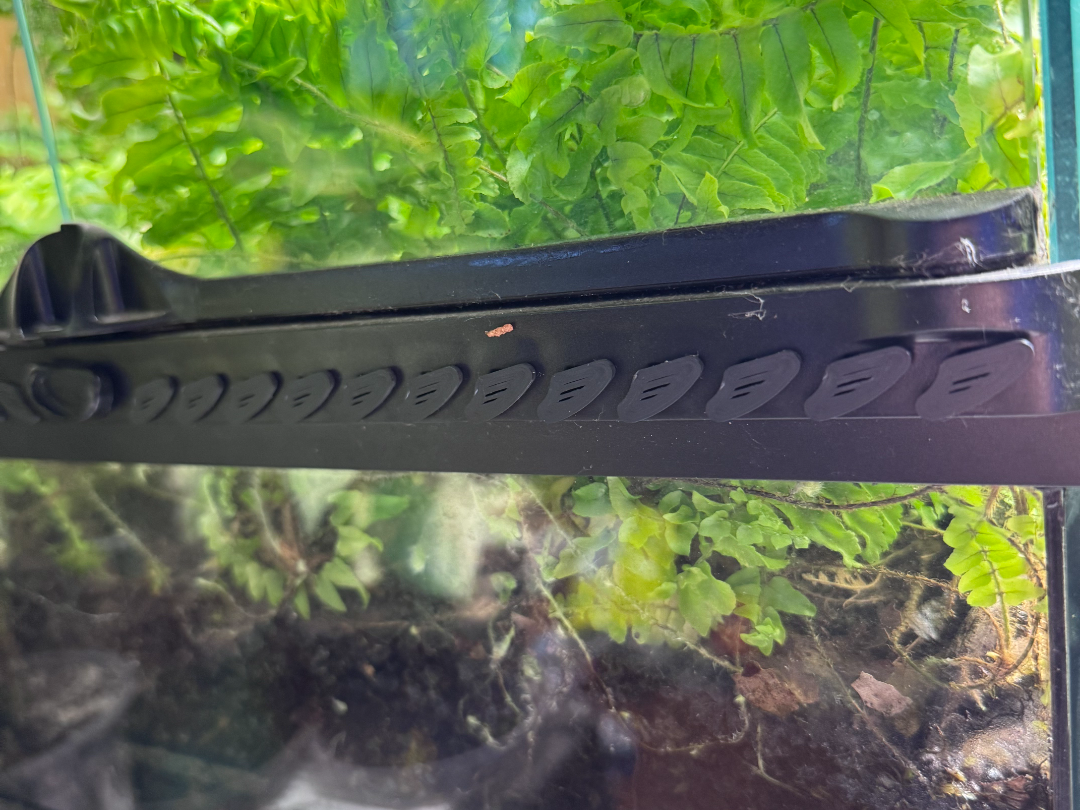 Exo Terra Enclosure Vent Covers
