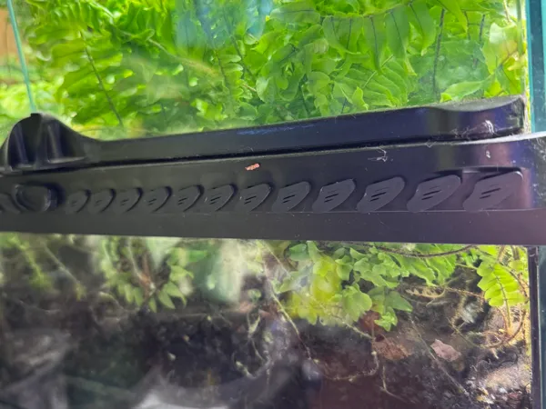 https://makerworld.bblmw.com/makerworld/model/USb6f20333c1987f/design/d3a0cd0b1c6e906c.jpeg