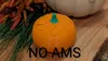 Pumpkin Pass through no AMS 6.7% infill