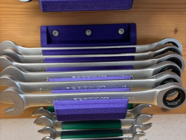 https://makerworld.bblmw.com/makerworld/model/USb6f63336c7d72a/design/98a6991e361f405a.jpeg