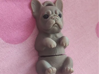 French Bulldog (Articulated/ Cute Desk Toy/ Flexi)
