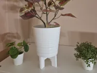 Diametro 12 cm