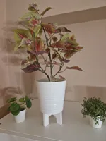 Diametro 15 cm