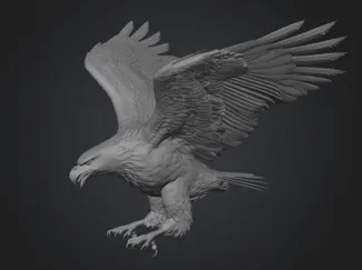 Eagle Bald Eagle Weißkopfadler