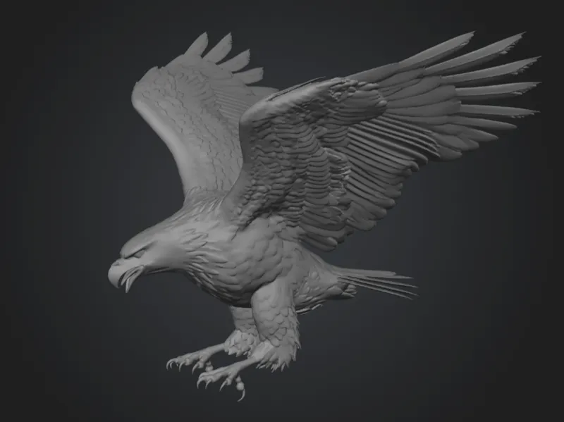 Eagle Bald Eagle Weißkopfadler