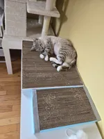Cadre pour planche à griffer chat, multi-tailles — photo 3